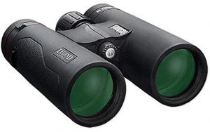 Bushnell Legend L-Series 10x42mm Binoculars