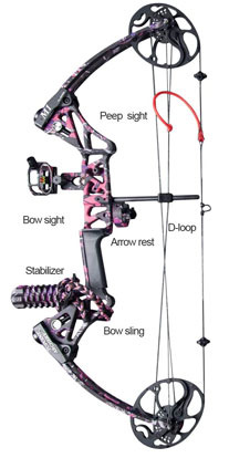 HYF-Woman-Compound-Bow